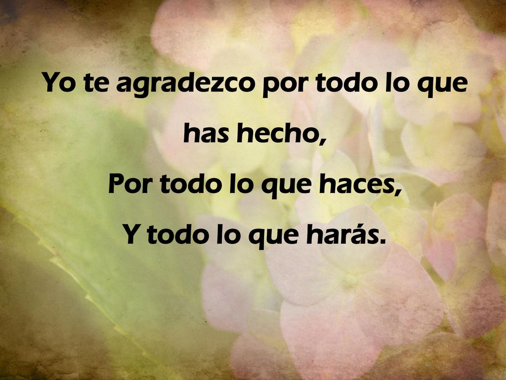 Yo te agradezco por todo lo que has hecho,