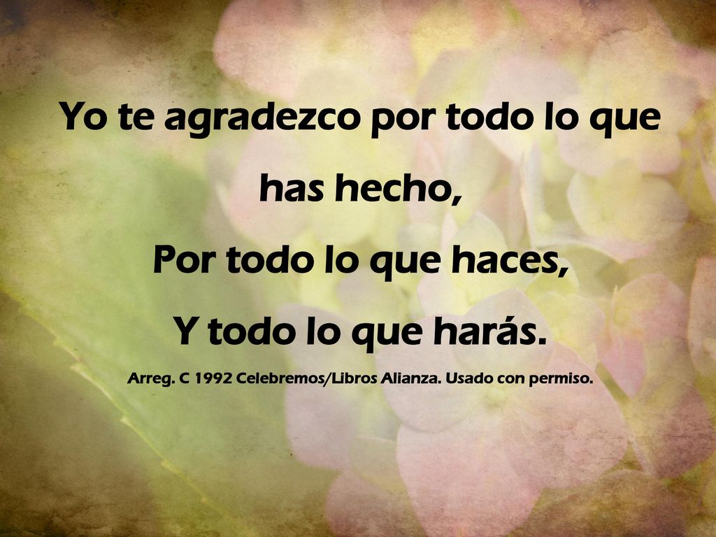 Yo te agradezco por todo lo que has hecho,