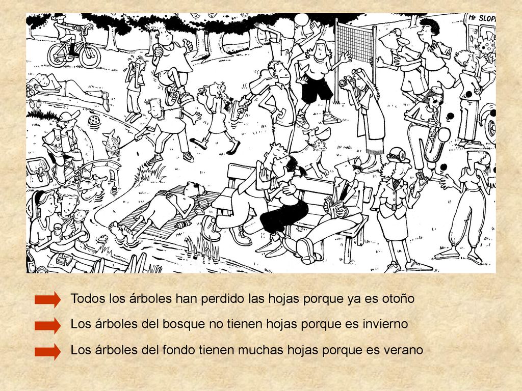 Todos los árboles han perdido las hojas porque ya es otoño