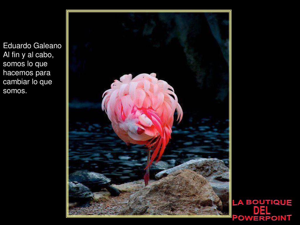 Eduardo Galeano Al fin y al cabo, somos lo que hacemos para cambiar lo que somos.