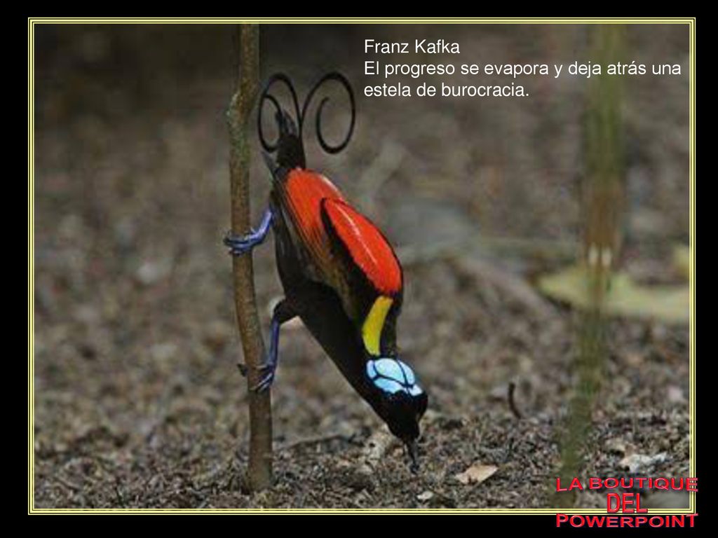 Franz Kafka El progreso se evapora y deja atrás una estela de burocracia.