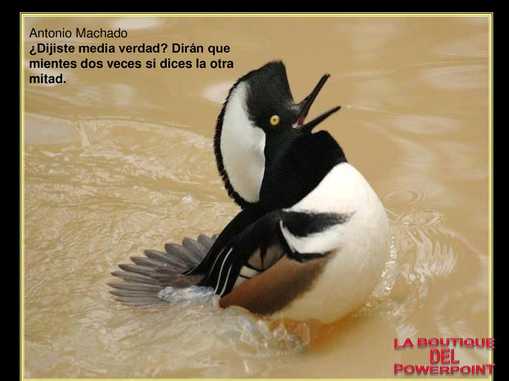Antonio Machado ¿Dijiste media verdad Dirán que mientes dos veces si dices la otra mitad. LA BOUTIQUE.