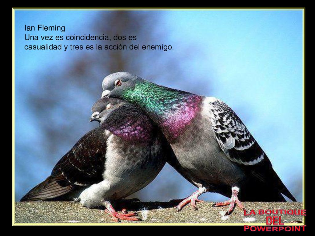 Ian Fleming Una vez es coincidencia, dos es casualidad y tres es la acción del enemigo. LA BOUTIQUE.