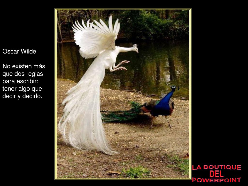 Oscar Wilde No existen más que dos reglas para escribir: tener algo que decir y decirlo.