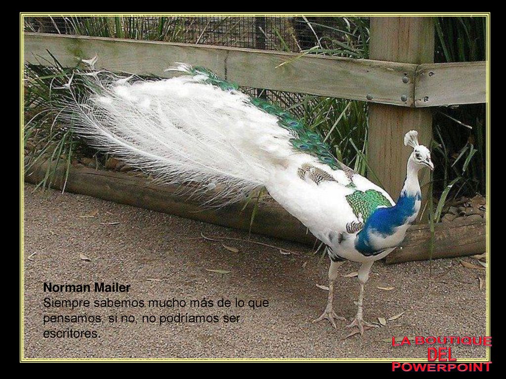 Norman Mailer Siempre sabemos mucho más de lo que pensamos, si no, no podríamos ser escritores. LA BOUTIQUE.