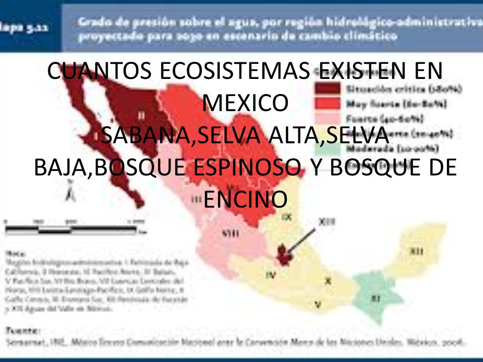 CUANTOS ECOSISTEMAS EXISTEN EN MEXICO SABANA,SELVA ALTA,SELVA BAJA,BOSQUE ESPINOSO Y BOSQUE DE ENCINO