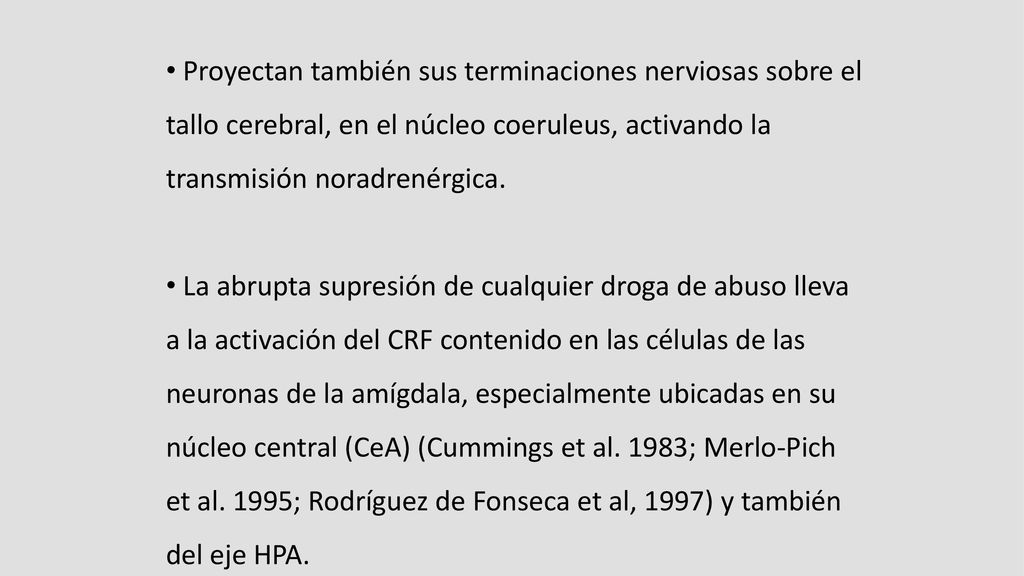 Proyectan también sus terminaciones nerviosas sobre el tallo cerebral, en el núcleo coeruleus, activando la transmisión noradrenérgica.