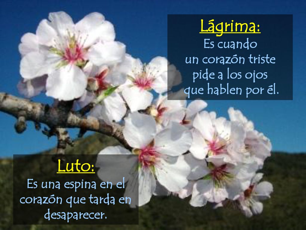 Es una espina en el corazón que tarda en desaparecer.