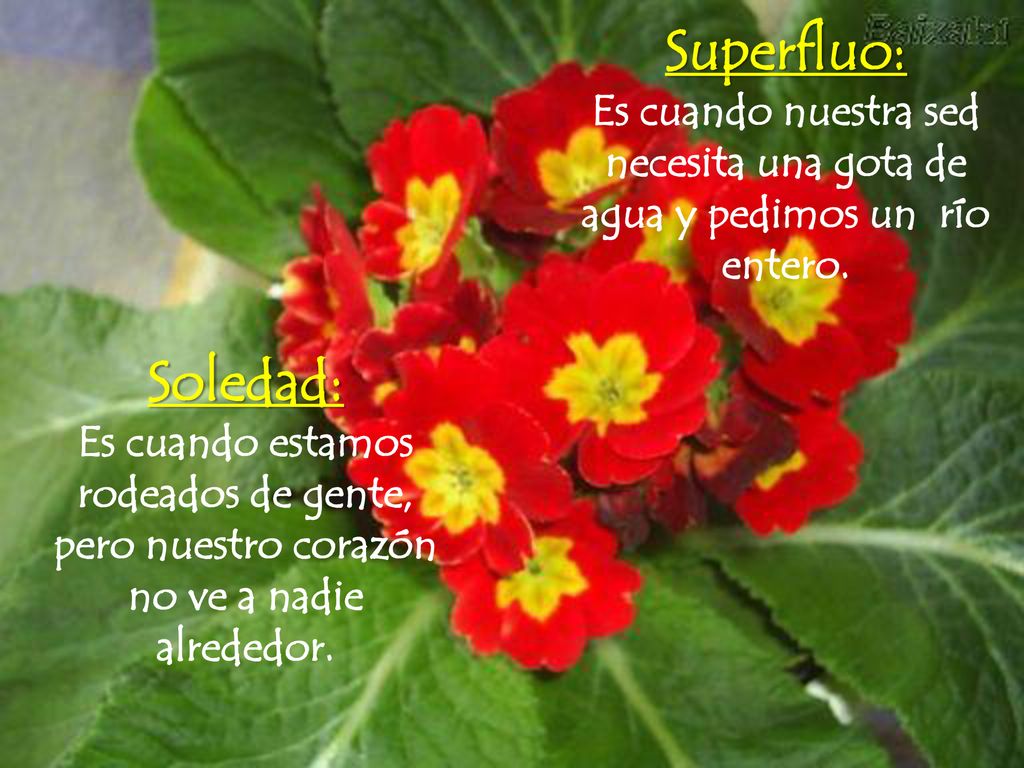 Superfluo: Es cuando nuestra sed necesita una gota de agua y pedimos un río entero. Soledad:
