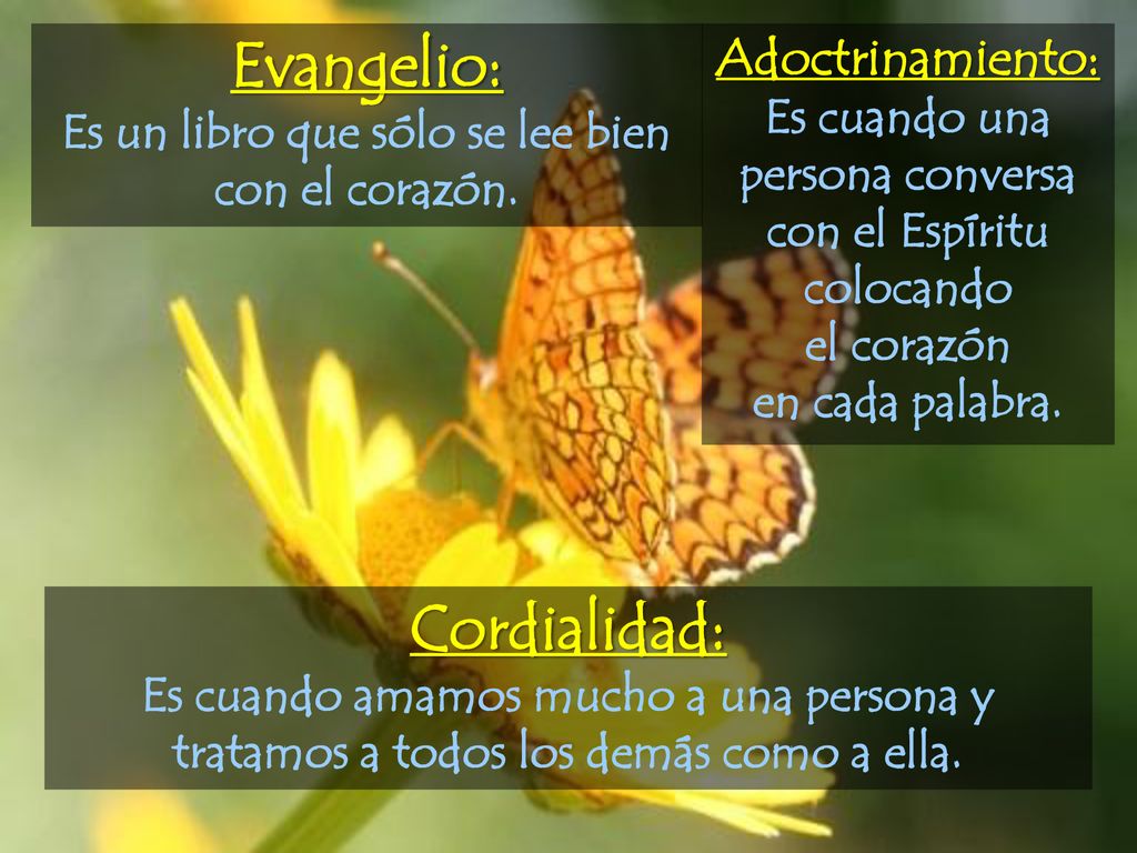 Es un libro que sólo se lee bien con el corazón.