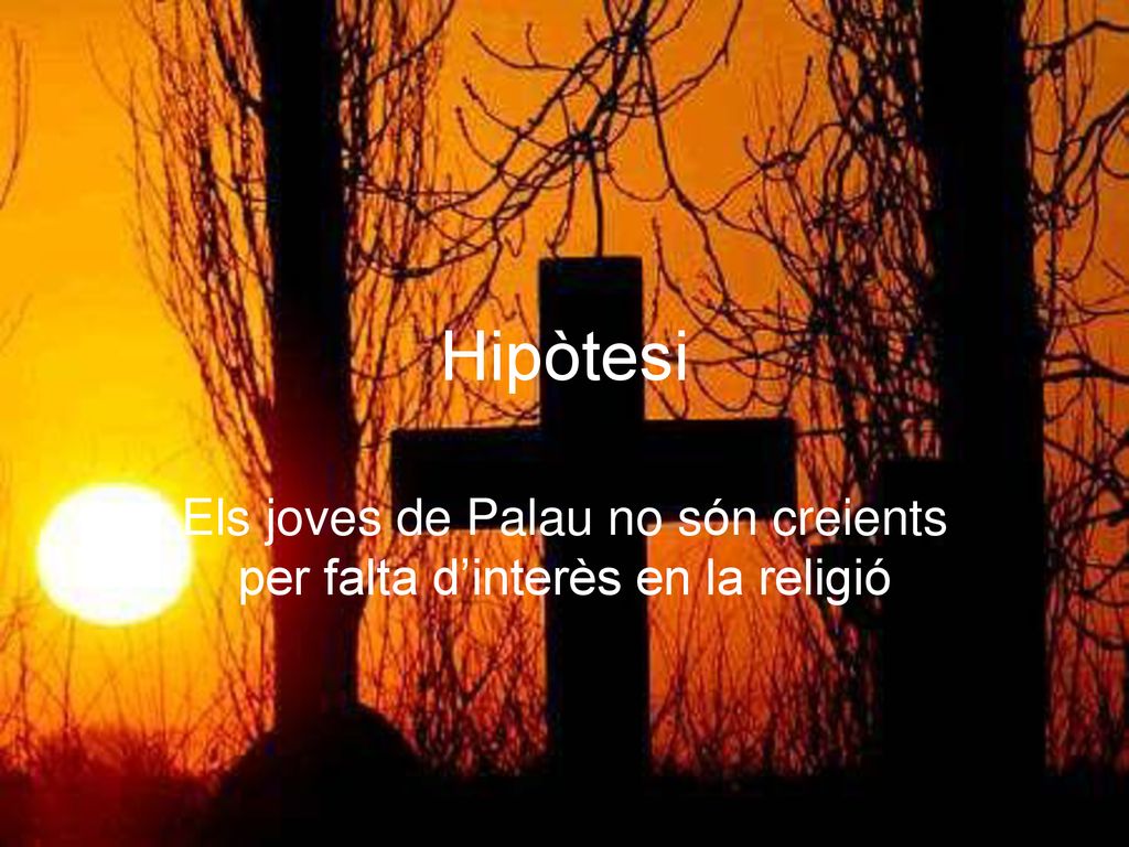 Els joves de Palau no són creients per falta d’interès en la religió