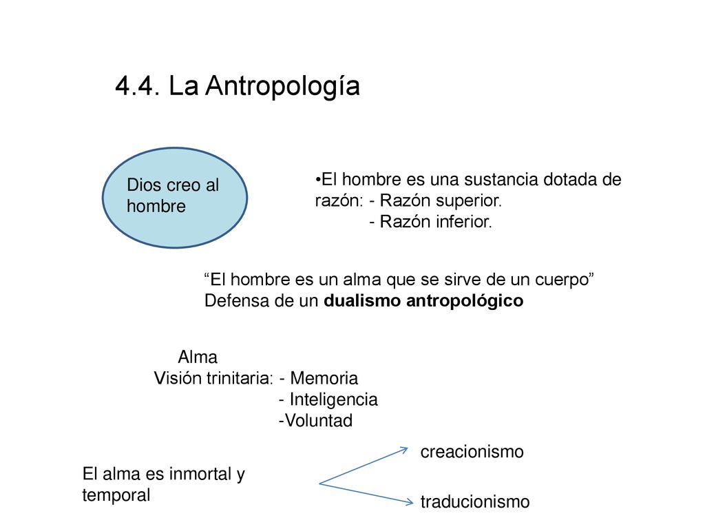 4.4. La Antropología El hombre es una sustancia dotada de razón: - Razón superior. - Razón inferior.