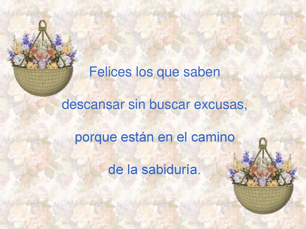 descansar sin buscar excusas, porque están en el camino