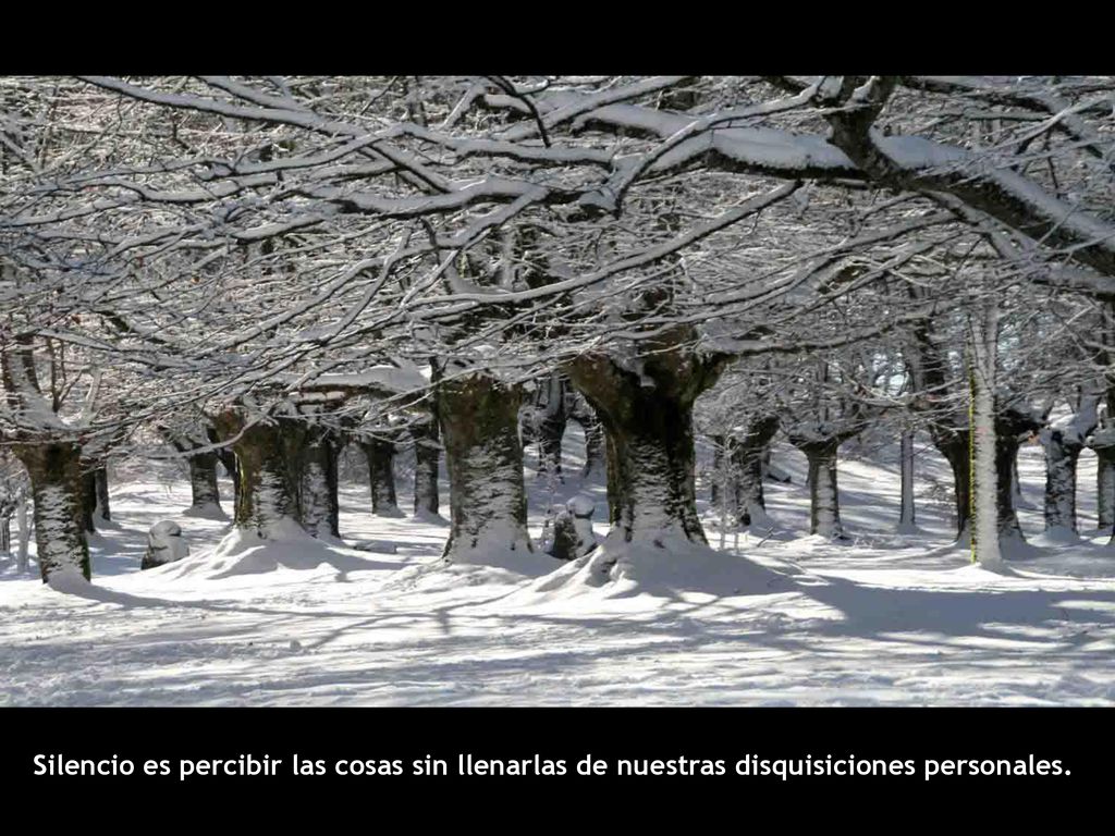 Silencio es percibir las cosas sin llenarlas de nuestras disquisiciones personales.