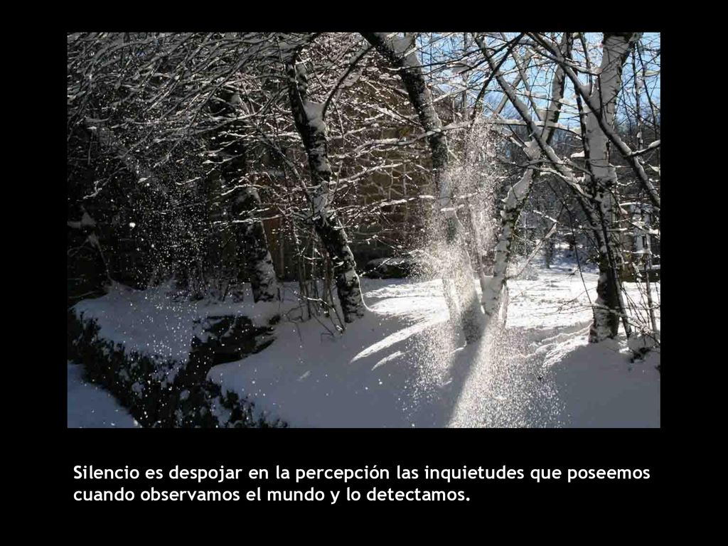 Silencio es despojar en la percepción las inquietudes que poseemos cuando observamos el mundo y lo detectamos.