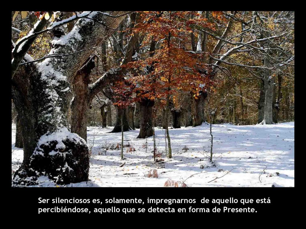 Ser silenciosos es, solamente, impregnarnos de aquello que está percibiéndose, aquello que se detecta en forma de Presente.