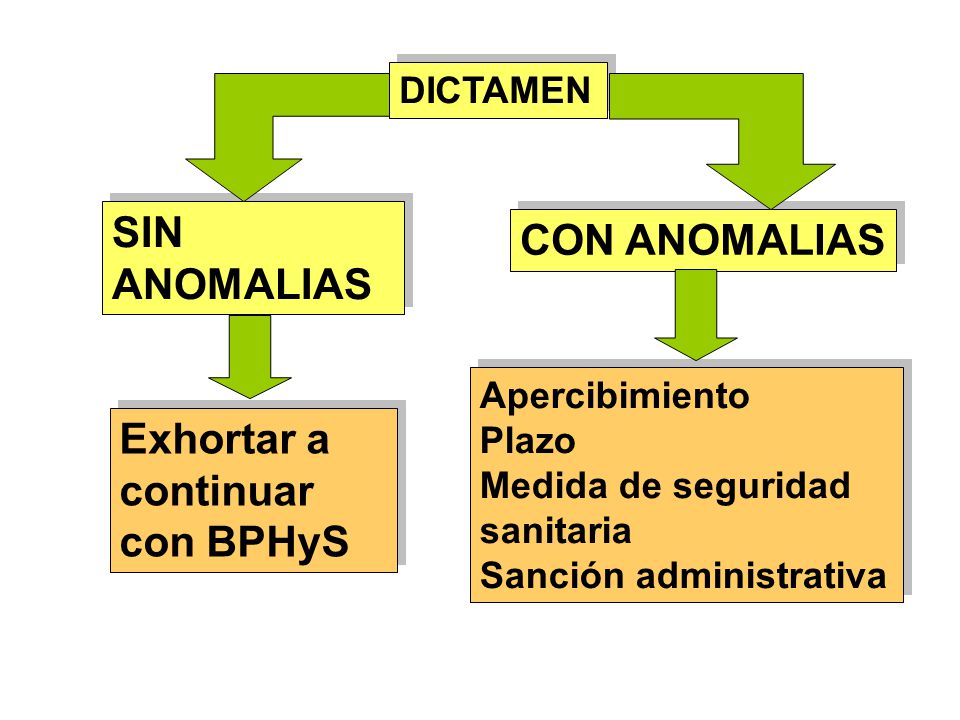 SIN ANOMALIAS CON ANOMALIAS Exhortar a continuar con BPHyS DICTAMEN