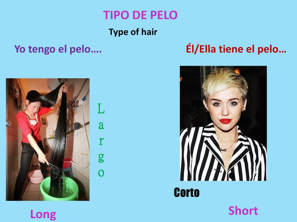 TIPO DE PELO Largo Short Long Yo tengo el pelo….