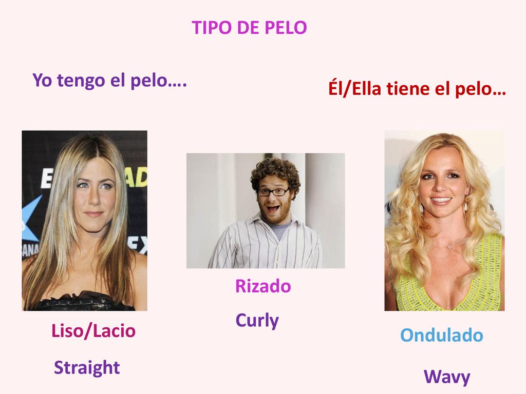 TIPO DE PELO Yo tengo el pelo…. Él/Ella tiene el pelo… Rizado. Curly. Liso/Lacio. Ondulado. Straight.