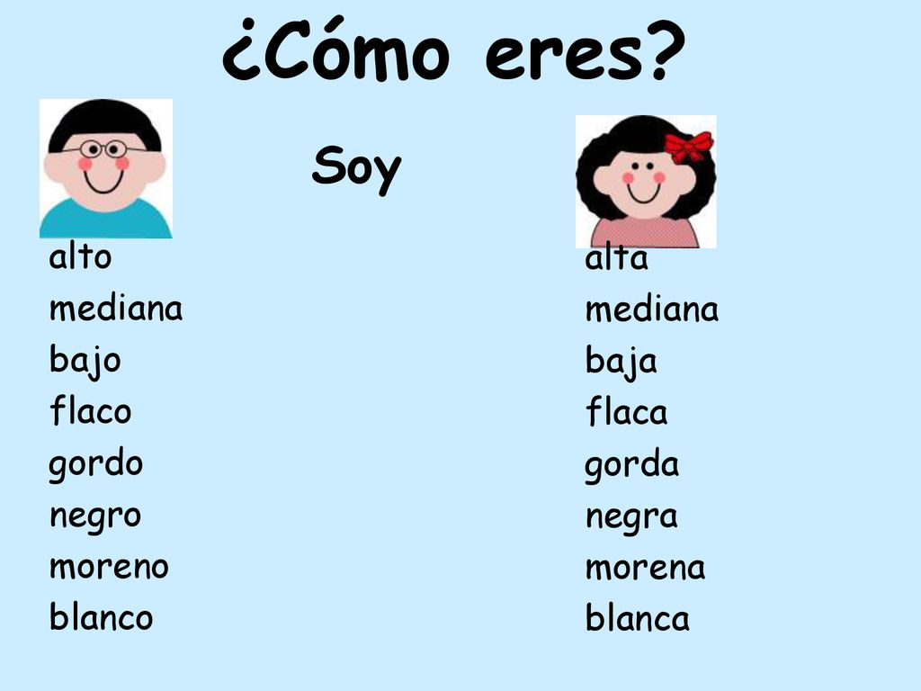 ¿Cómo eres Soy alto alta mediana mediana bajo baja flaco flaca gordo