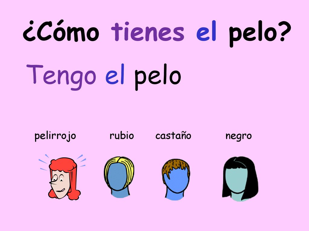 ¿Cómo tienes el pelo Tengo el pelo pelirrojo rubio castaño negro