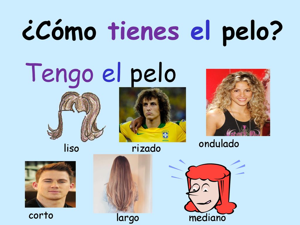 ¿Cómo tienes el pelo Tengo el pelo ondulado liso rizado corto largo