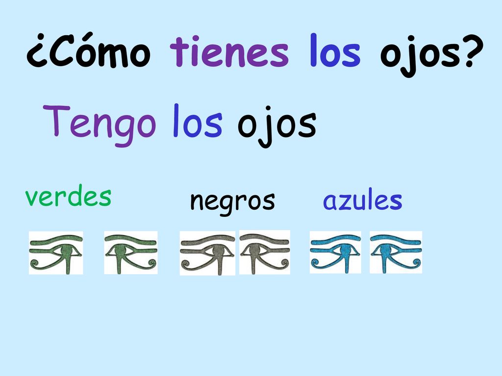¿Cómo tienes los ojos Tengo los ojos verdes negros azules