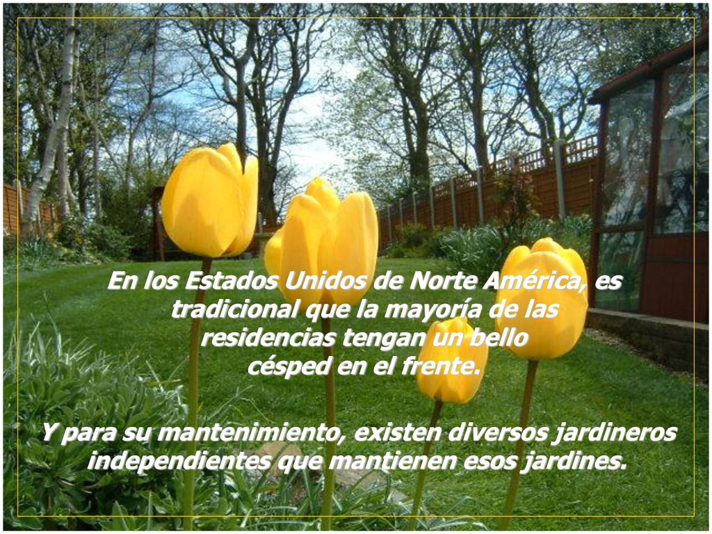 En los Estados Unidos de Norte América, es tradicional que la mayoría de las residencias tengan un bello césped en el frente.