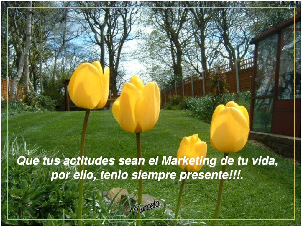 Que tus actitudes sean el Marketing de tu vida, por ello, tenlo siempre presente!!!.