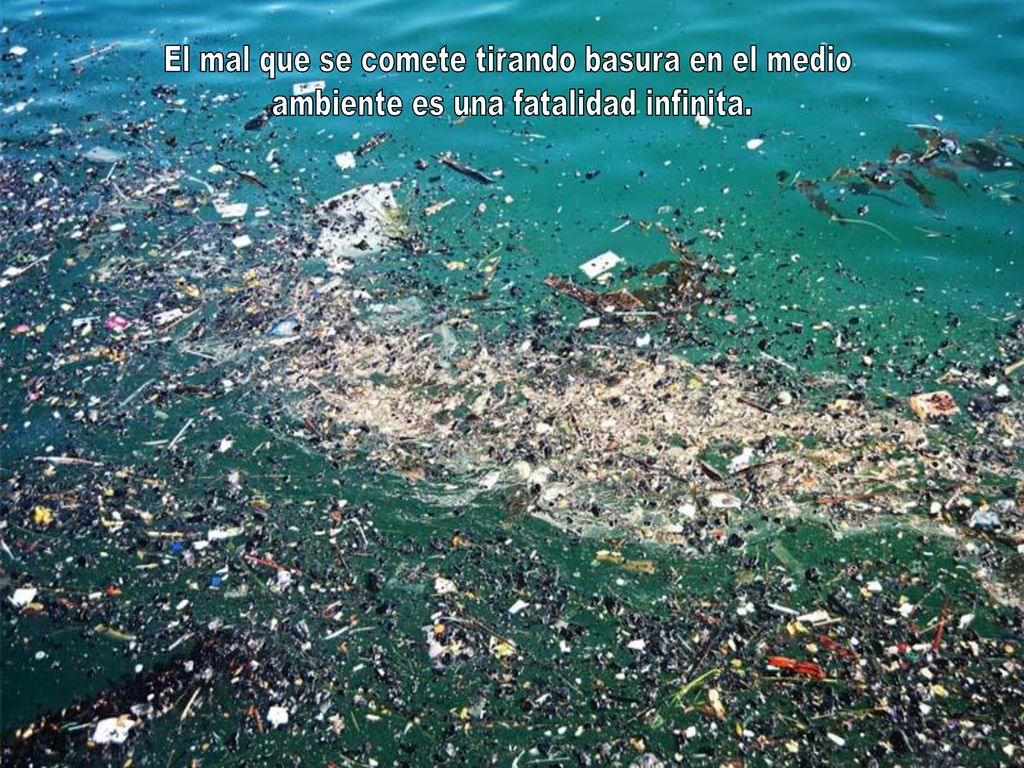El mal que se comete tirando basura en el medio