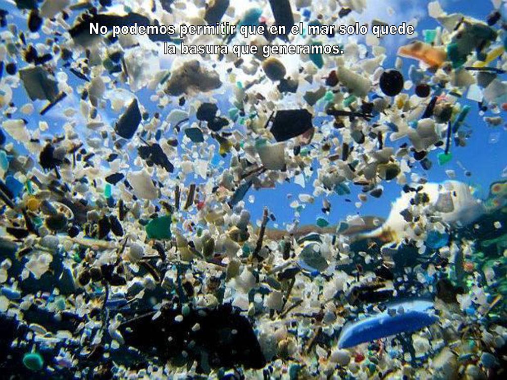 No podemos permitir que en el mar solo quede la basura que generamos.