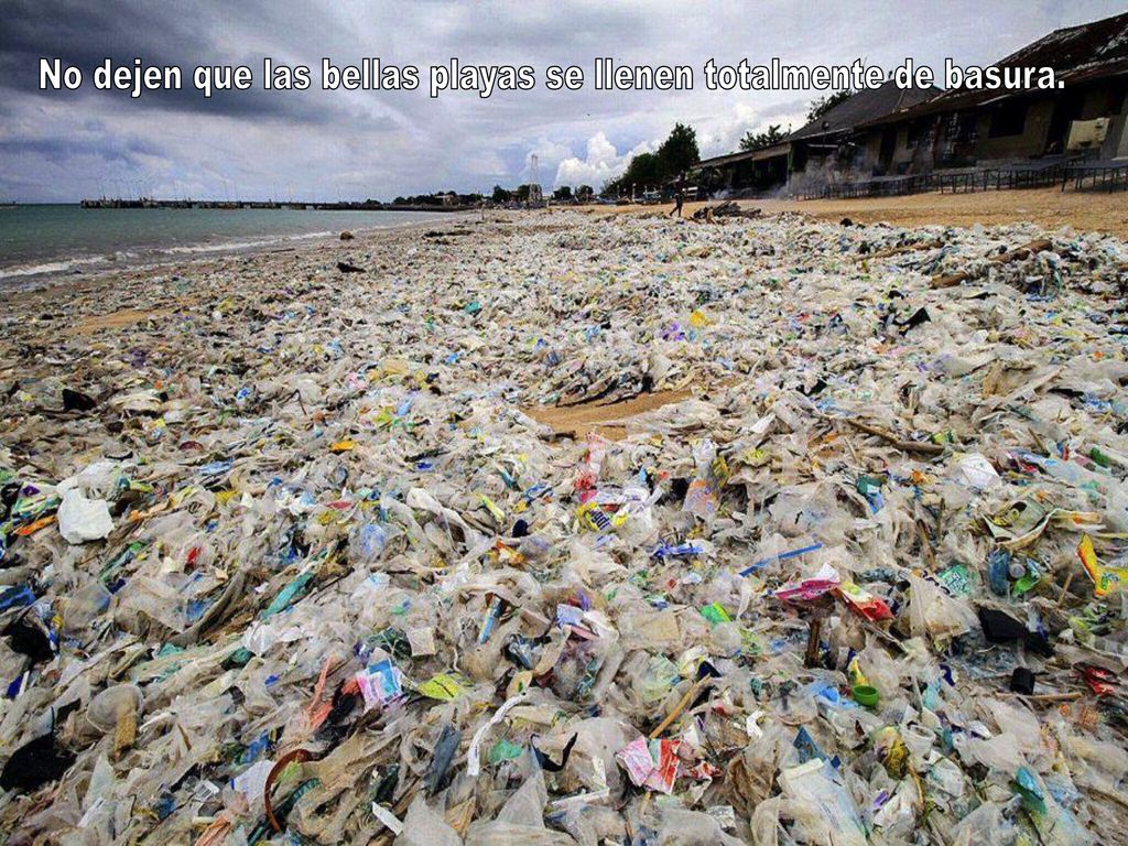 No dejen que las bellas playas se llenen totalmente de basura.