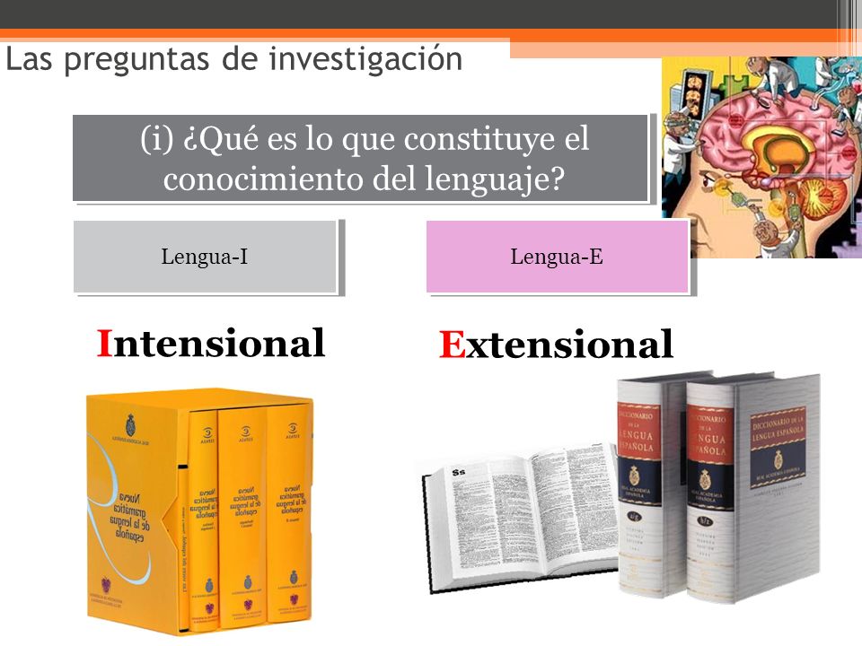 (i) ¿Qué es lo que constituye el conocimiento del lenguaje