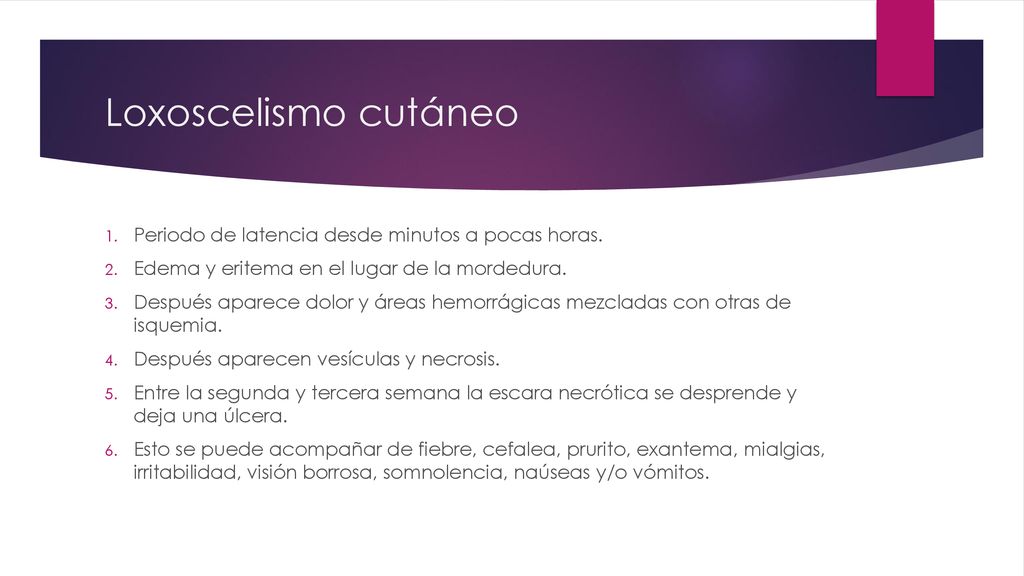 Loxoscelismo cutáneo Periodo de latencia desde minutos a pocas horas.