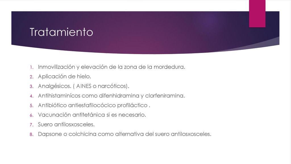Tratamiento Inmovilización y elevación de la zona de la mordedura.