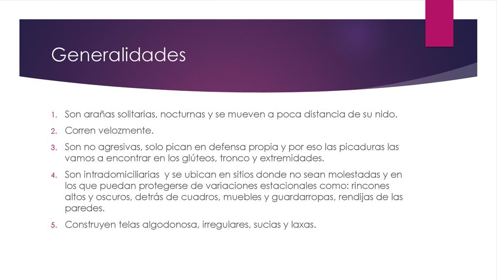 Generalidades Son arañas solitarias, nocturnas y se mueven a poca distancia de su nido. Corren velozmente.