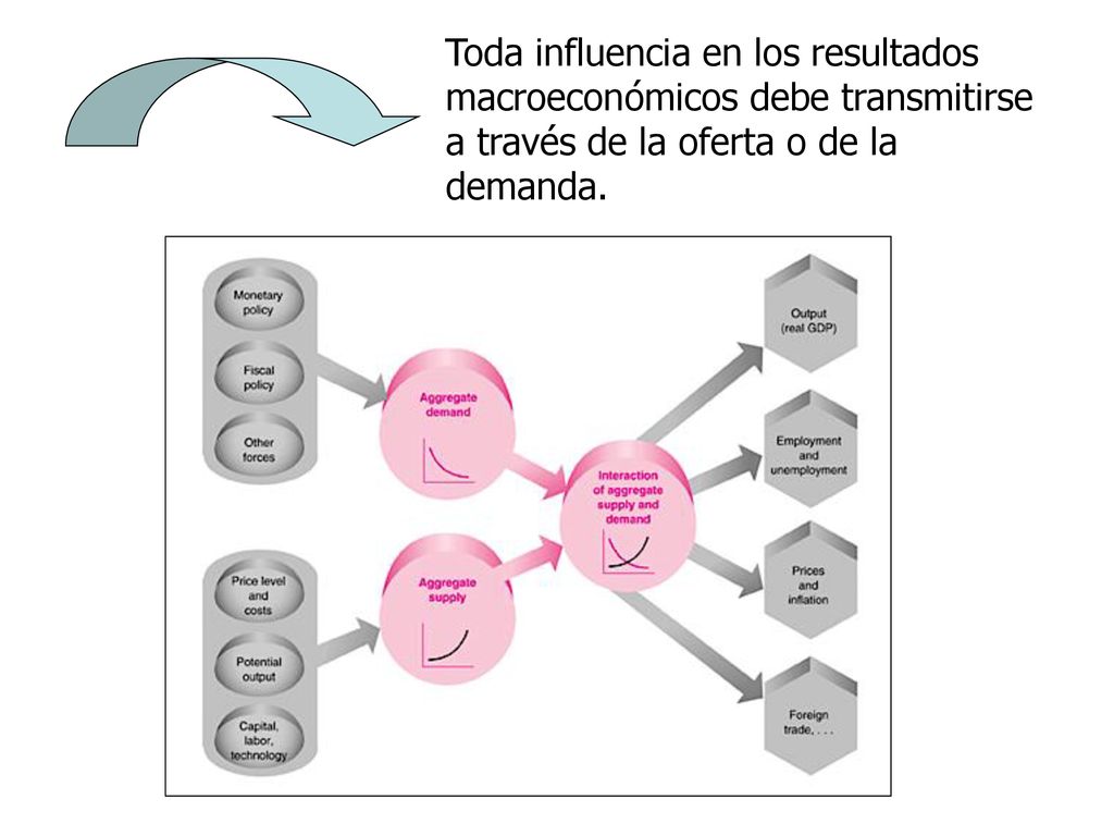 Toda influencia en los resultados macroeconómicos debe transmitirse a través de la oferta o de la demanda.