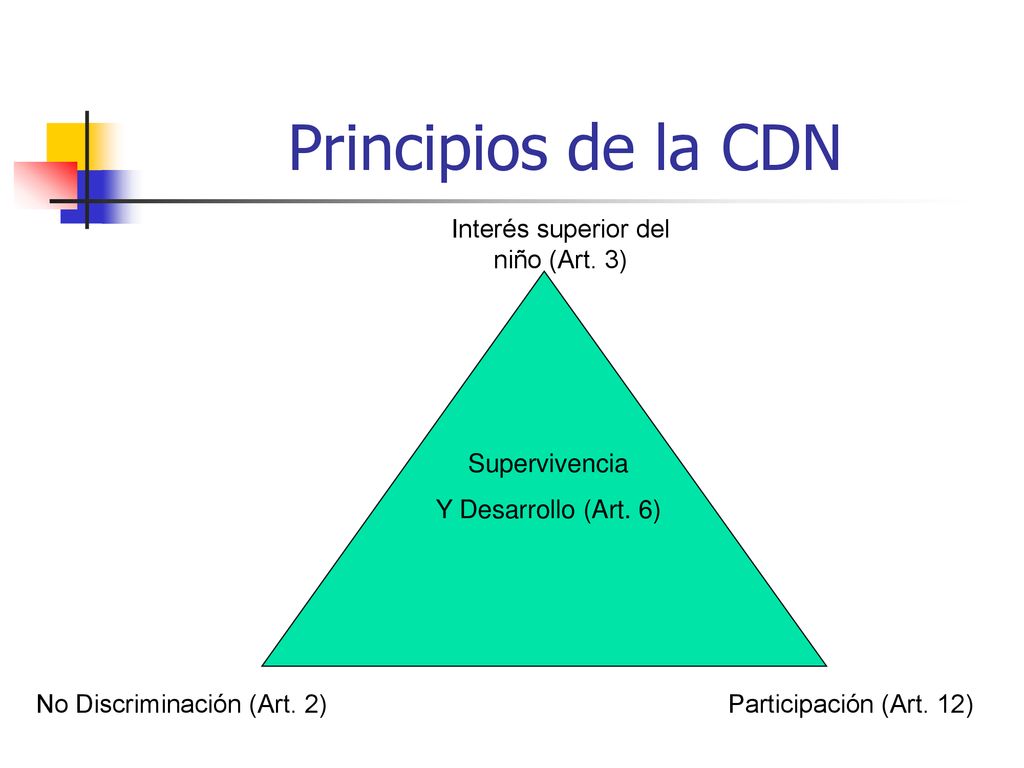 Principios de la CDN Interés superior del niño (Art. 3) Supervivencia