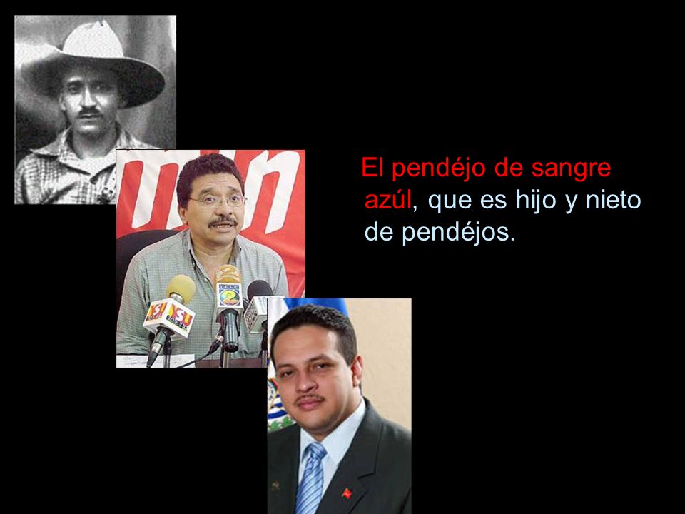 El pendéjo de sangre azúl, que es hijo y nieto de pendéjos.