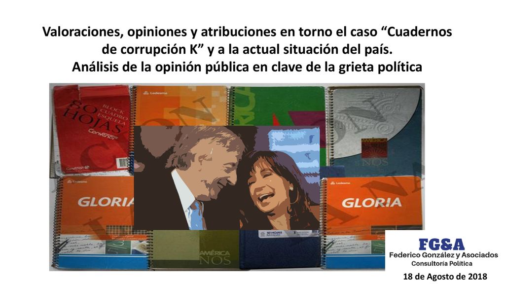 Análisis de la opinión pública en clave de la grieta política