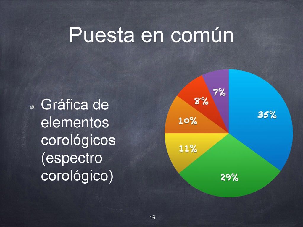 Puesta en común Gráfica de elementos corológicos (espectro corológico)
