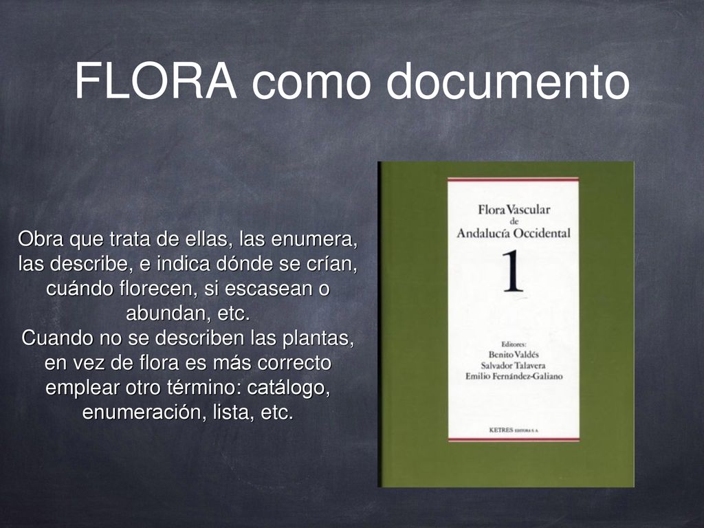 FLORA como documento Obra que trata de ellas, las enumera, las describe, e indica dónde se crían, cuándo florecen, si escasean o abundan, etc.