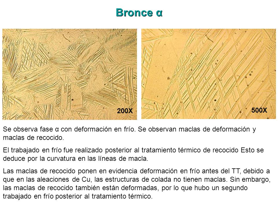 Bronce α 200X. 500X. Se observa fase α con deformación en frío. Se observan maclas de deformación y maclas de recocido.