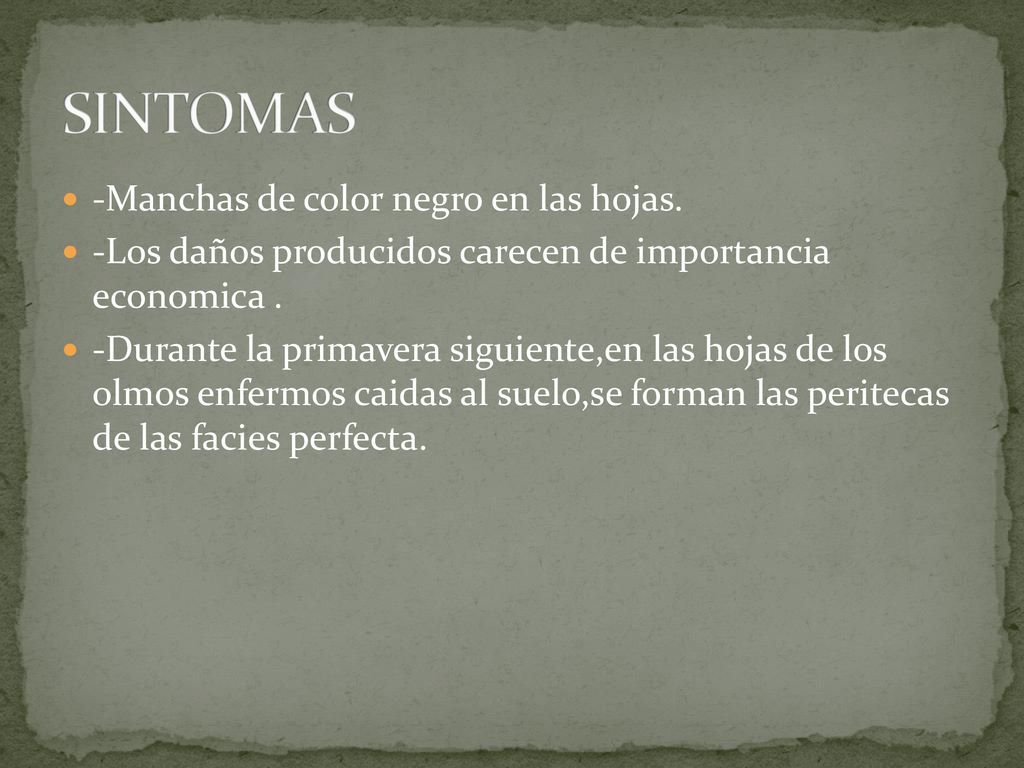 SINTOMAS -Manchas de color negro en las hojas.