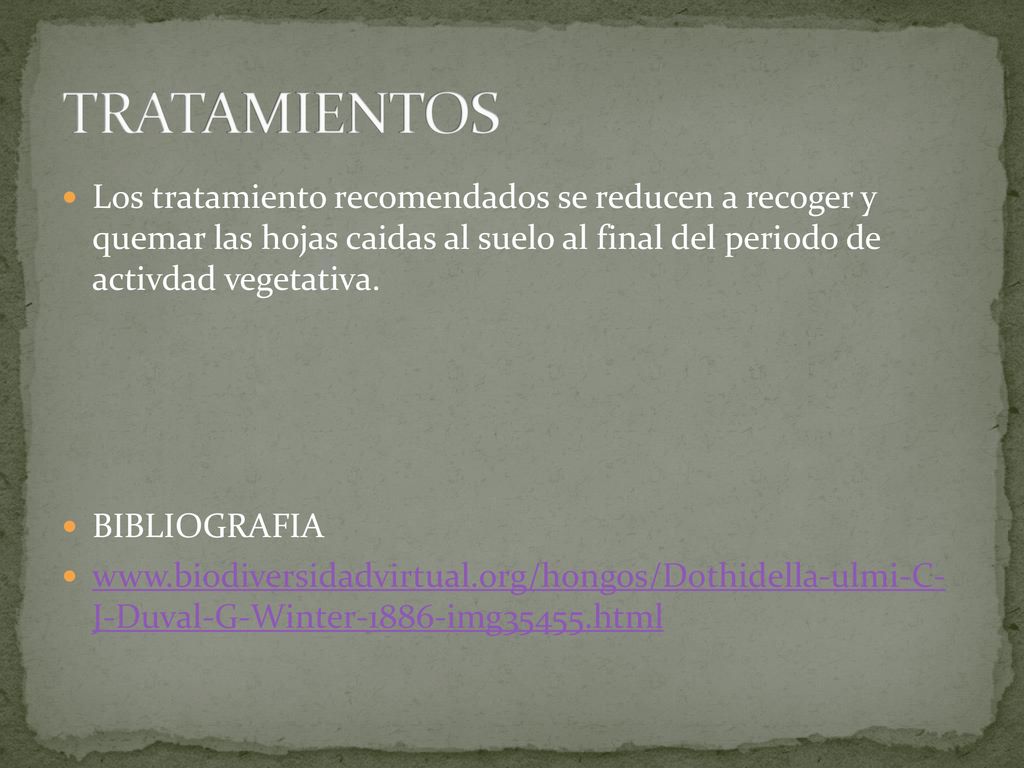 TRATAMIENTOS Los tratamiento recomendados se reducen a recoger y quemar las hojas caidas al suelo al final del periodo de activdad vegetativa.