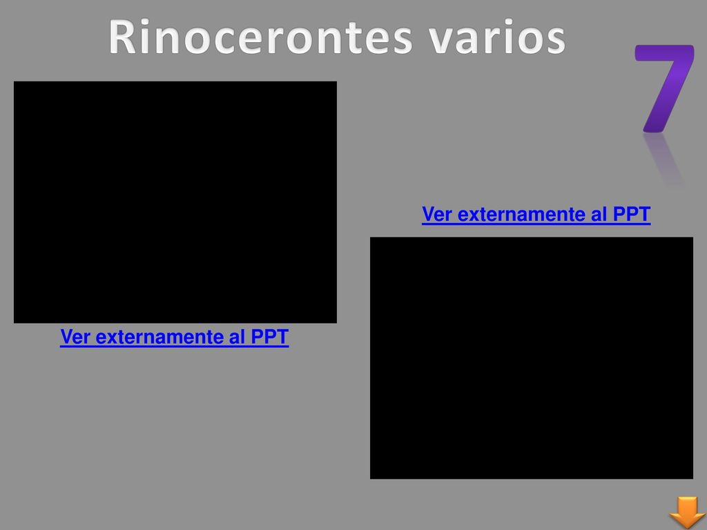 Rinocerontes varios 7 Ver externamente al PPT Ver externamente al PPT