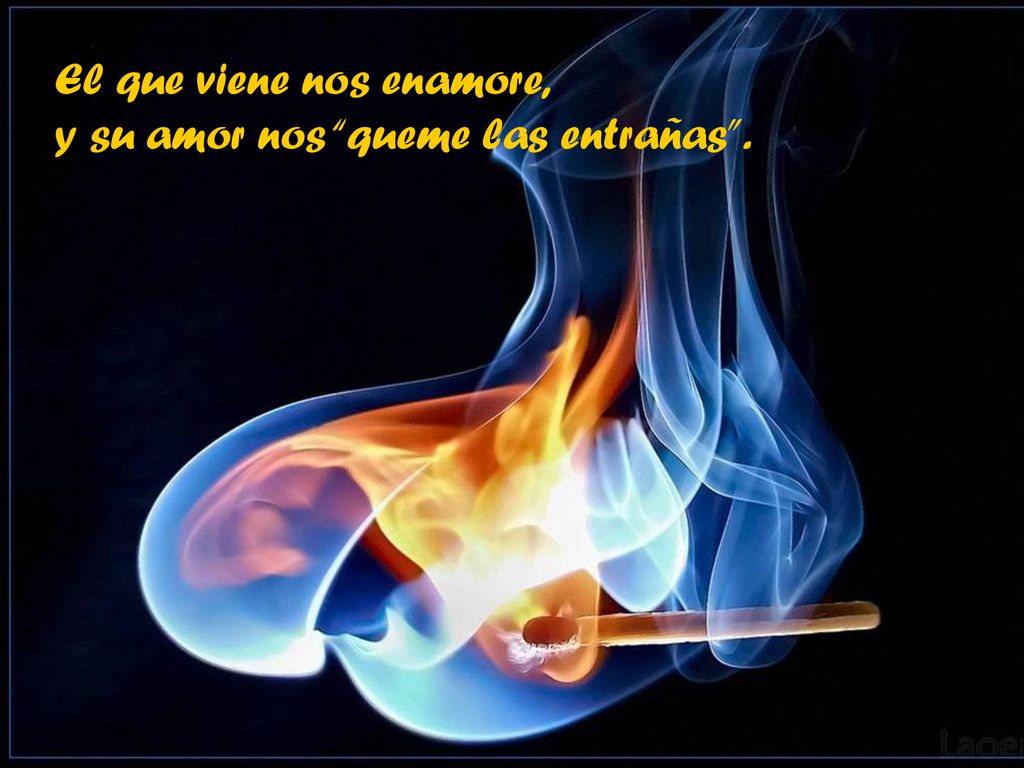 El que viene nos enamore, y su amor nos queme las entrañas .