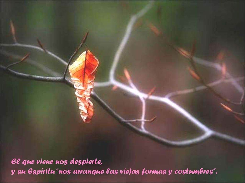 El que viene nos despierte, y su Espíritu nos arranque las viejas formas y costumbres .