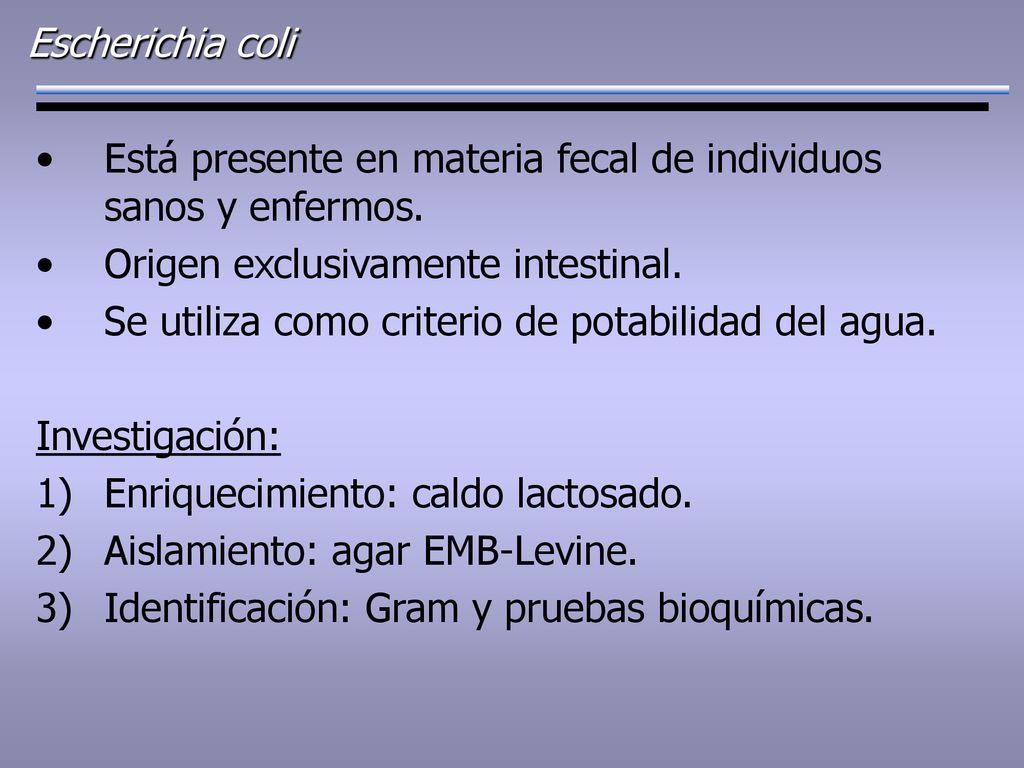Escherichia coli Está presente en materia fecal de individuos sanos y enfermos. Origen exclusivamente intestinal.