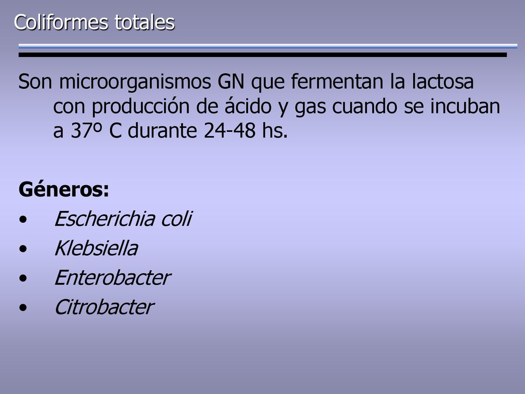 Coliformes totales Son microorganismos GN que fermentan la lactosa con producción de ácido y gas cuando se incuban a 37º C durante hs.
